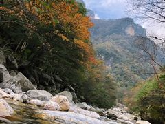 -青峰峡国家森林公园