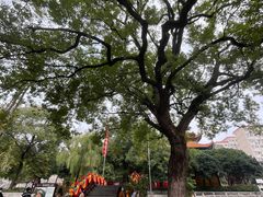 -宝通禅寺