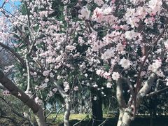 -玲珑塔公园