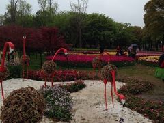 iphone_upload_pic-上海鲜花港
