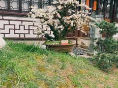 -寒山寺