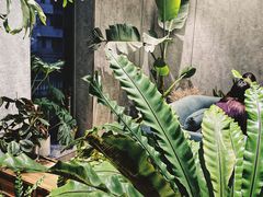 -山下C5cafe(惠通时代广场店)