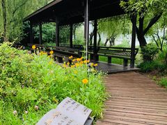 -渤公岛生态公园