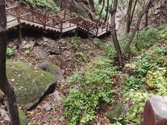-大岭沟猕猴桃谷风景区