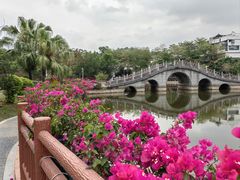 -大屏嶂森林公园