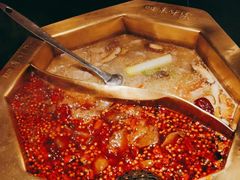 -蜀九香火锅(彩虹店)