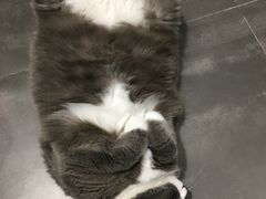 -乐果甜心·潮汕冰室(南澳后宅分店)