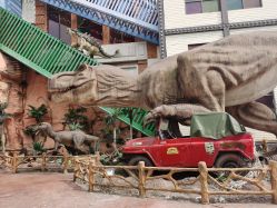 点击看大图 -宝燕乐园(闵行旗舰店)