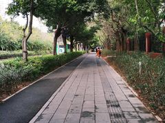 -红树湾(地铁站)