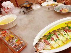 -鲁宴·鲁煨黄河生态大鲤鱼(月坛店)