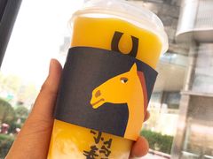 芒果卡士-春丽小马(济南恒隆广场店)