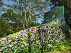 -上海共青森林公园