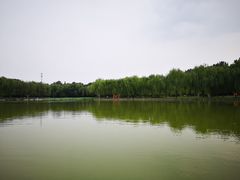 -廊坊市自然公园
