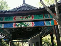 -南汇桃花村