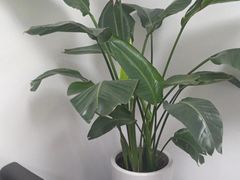 -会麦二手奢侈品回收寄卖