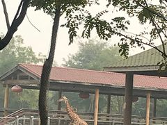 -石家庄市动物园