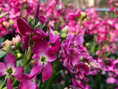 -苏州河梦清园环保主题公园