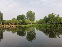 -东郊湿地公园