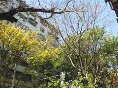 -咏春葱油饼(德政中路店)