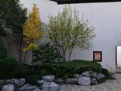 -南京市民俗博物馆(甘熙宅第)