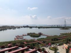 -芒洲湿地公园