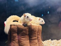 -太平洋海底世界