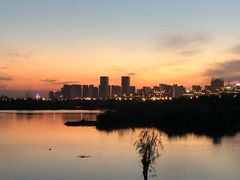 -合肥滨湖国家森林公园