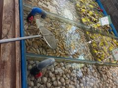 -小时候文化主题餐厅(田家店)