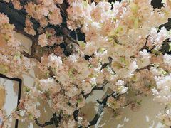 -情满四合院•京菜•烤鸭(动物园店)