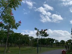 -上海长兴岛郊野公园