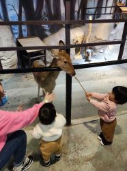 -酷嗒动物文化乐园(cutezoo西溪乐天城店)