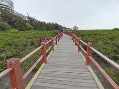 -北海金海湾红树林生态旅游区