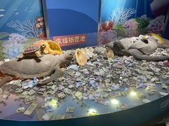 -苏州海洋馆