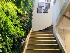 -Peet's Coffee皮爷咖啡(大学路店)