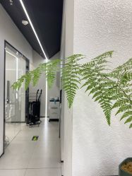 -FINE HAIR 烫染专业设计