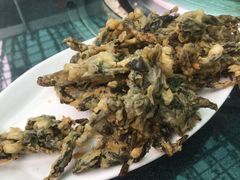 -燕北云山·农家菜·灶台鱼(密云溪翁庄店)