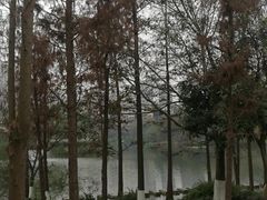 -重庆彩云湖湿地公园