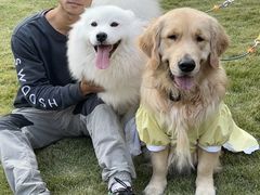 -上海神旺大酒店