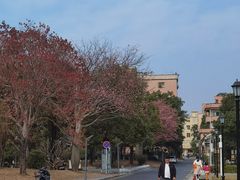 -均和墟历史街区-平和大押