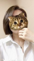 -大象造型