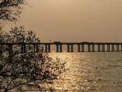-宝安西湾红树林湿地公园
