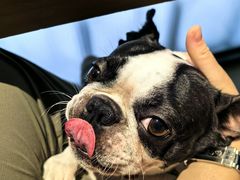 -Peet's Coffee皮爷咖啡(大学路店)