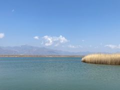 -野鸭湖国家湿地公园