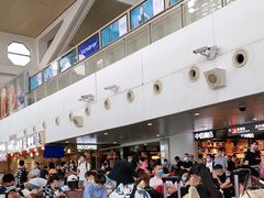 -厦门高崎国际机场-T3航站楼