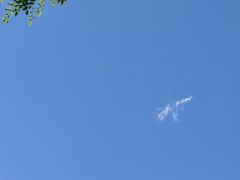 -杨庄(地铁站)