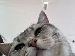 -平行世界·猫咖(首经贸店)