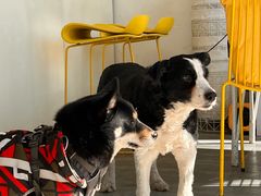 -五进制 Coffee Shop