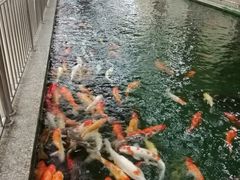 -叙福楼海鲜酒家(季华西路店)