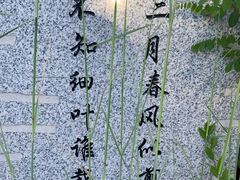 -小绿谷公园