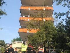 -南山植物园
